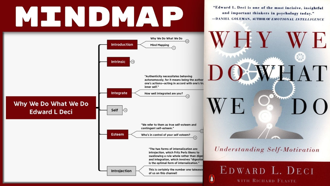 Why We Do What We Do - Edward L Deci