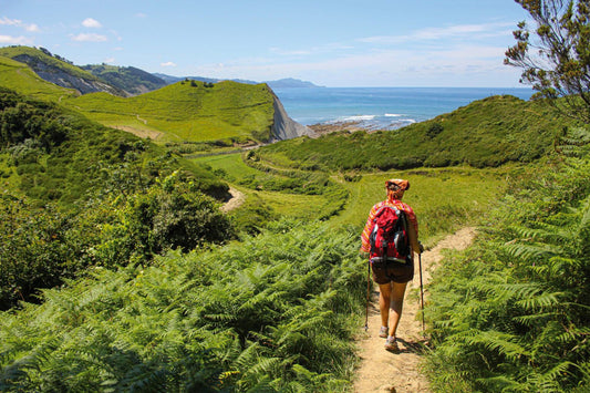 Comino Santiago (45 Day Path)